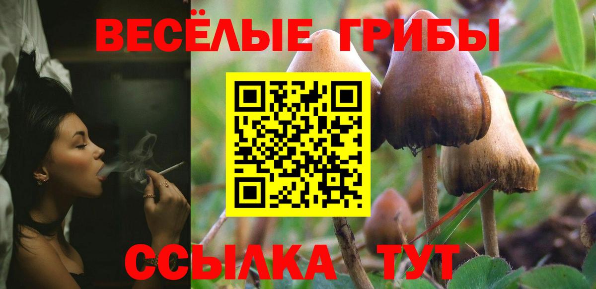 Псилоцибиновые грибы мухоморы Новошахтинск