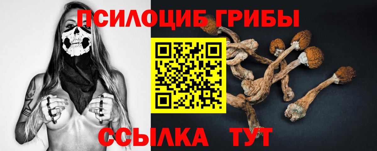 закладки  Галлюциногенные грибы ЛСД  Вход с VPN  Новошахтинск  Галлюциногенные грибы Psilocybe 